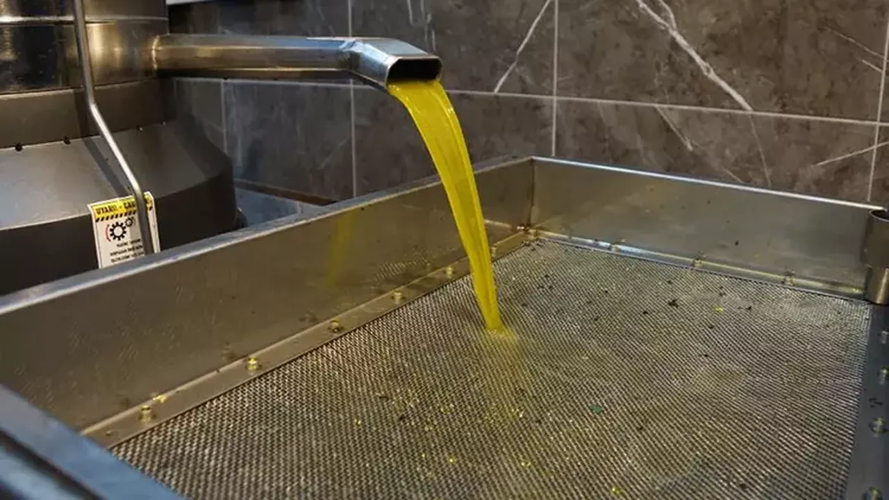 2026 zeytinyağı fiyatları ne kadar oldu? Tariş Zeytin ve Zeytinyağı Birliği kararı