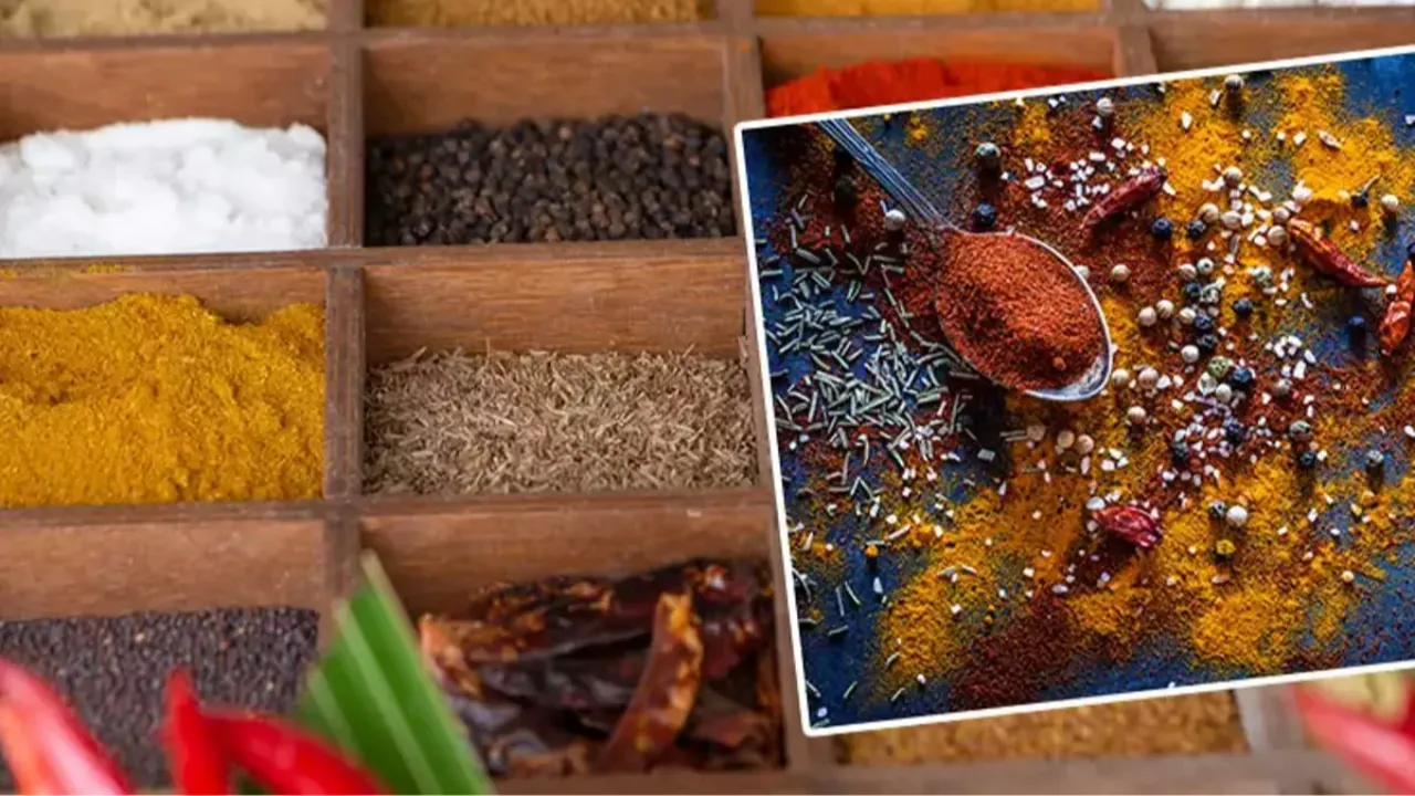 KAĞITHANE BELEDİYE BAŞKANLIĞI