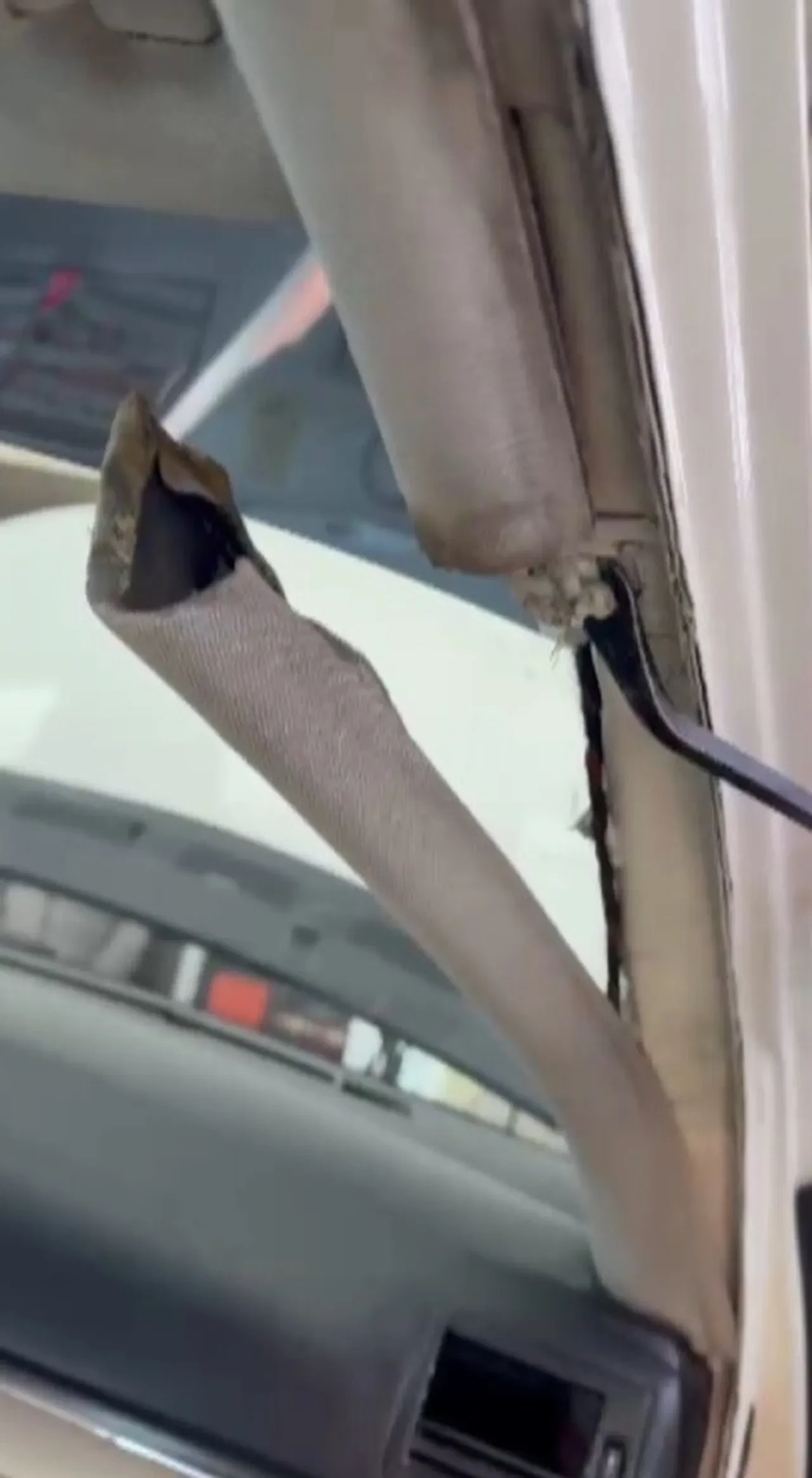 Otomobil almak istedi, hayatının şokunu yaşadı! Ekspertiz uzmanı bile hayret etti