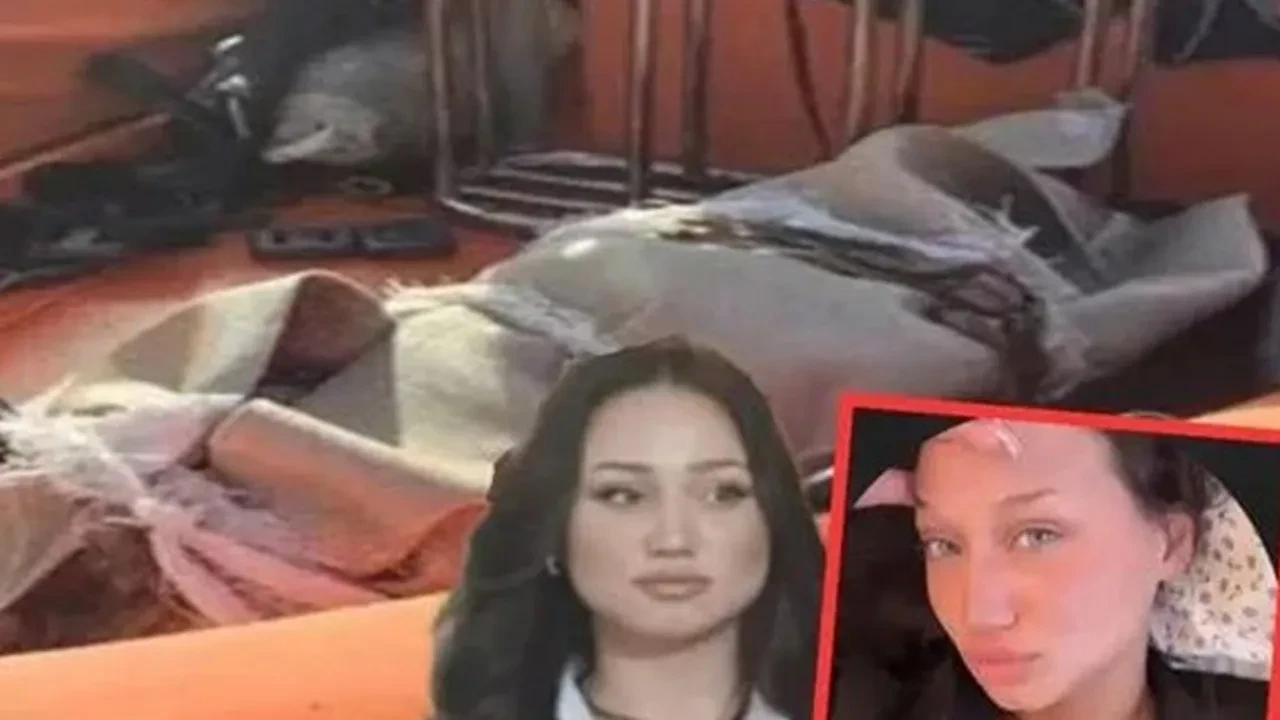 Sedef Güler cinayeti davasında şoke eden açıklama! "Akıl sağlığımı kaybetmiş olmalıyım"