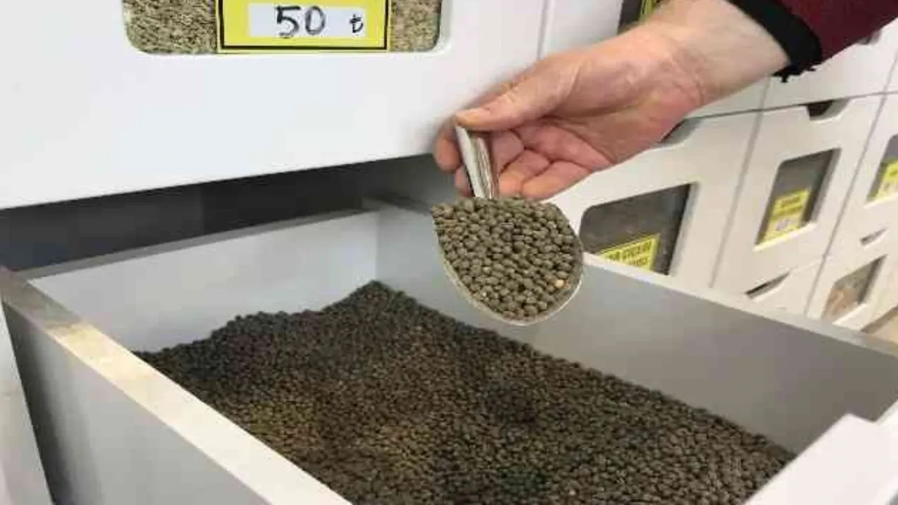 İÇERİDEN DESTEK: BAMYA TOHUMU VE KOLAJEN