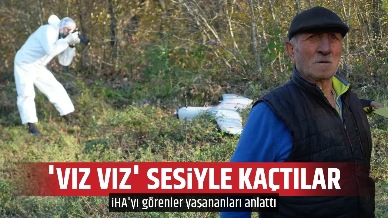 'VIZ VIZ' SESİYLE KAÇTILAR