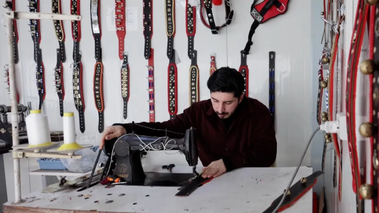 Konteynerde ürettiği köpek tasmaları yok satıyor! Yurt dışından talep yağıyor 