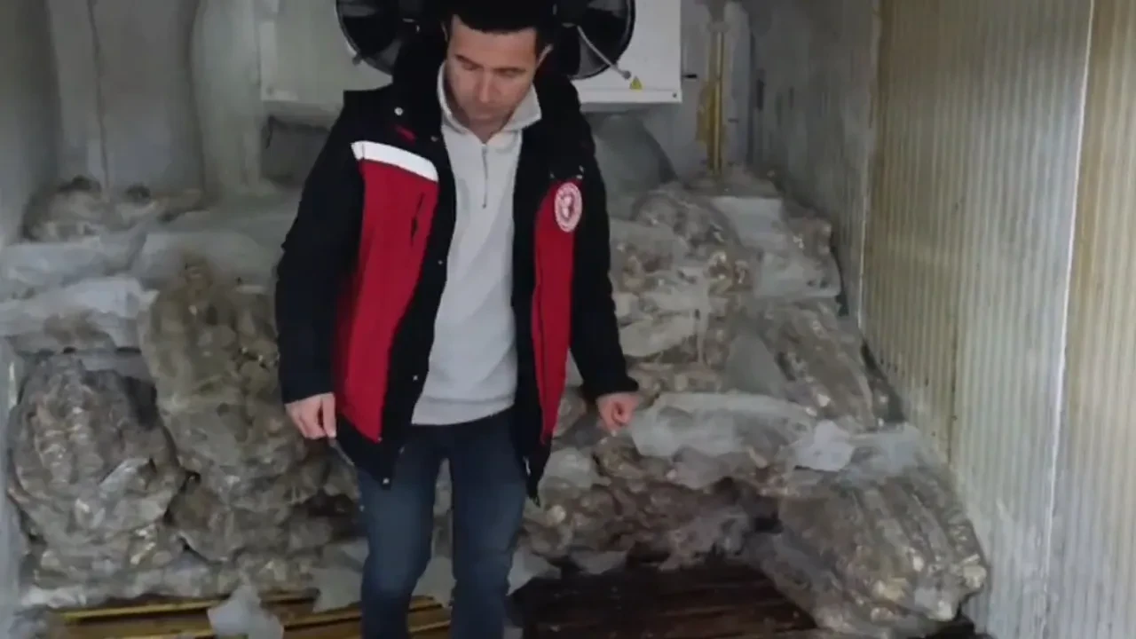 Mide bulandıran görüntüleri bakanlık paylaştı! 4 milyon değerinde bozuk kokoreç ele geçirildi