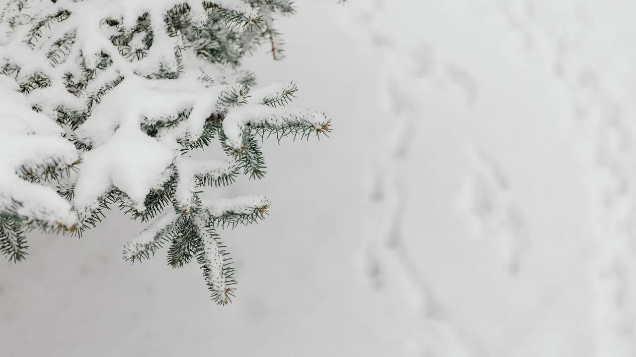 Yılbaşında kar yağacak mı? Uzmanlar uyardı: Seneler sonra ilk kez yaşanabilir