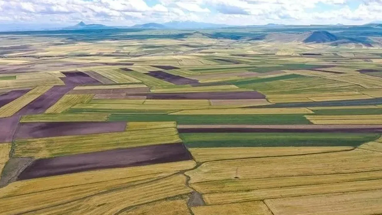 2B arsa vaadiyle 40 milyonluk dev vurgun! Herkesi soyup soğana çevirdiler