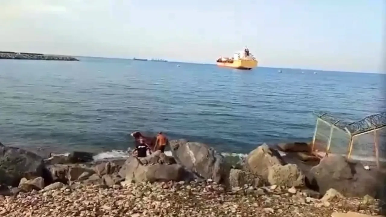 Gemiden düşen angus yüzerek karaya çıktı! O anlar kamerada 