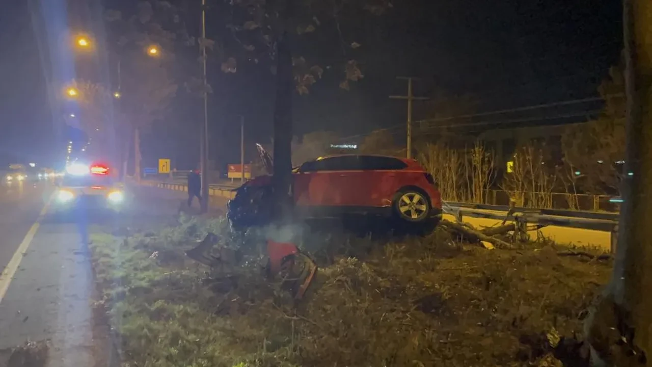 Görüntüler şaşkına çevirdi! Eskişehir'de otomobil ağacın üzerine çıktı