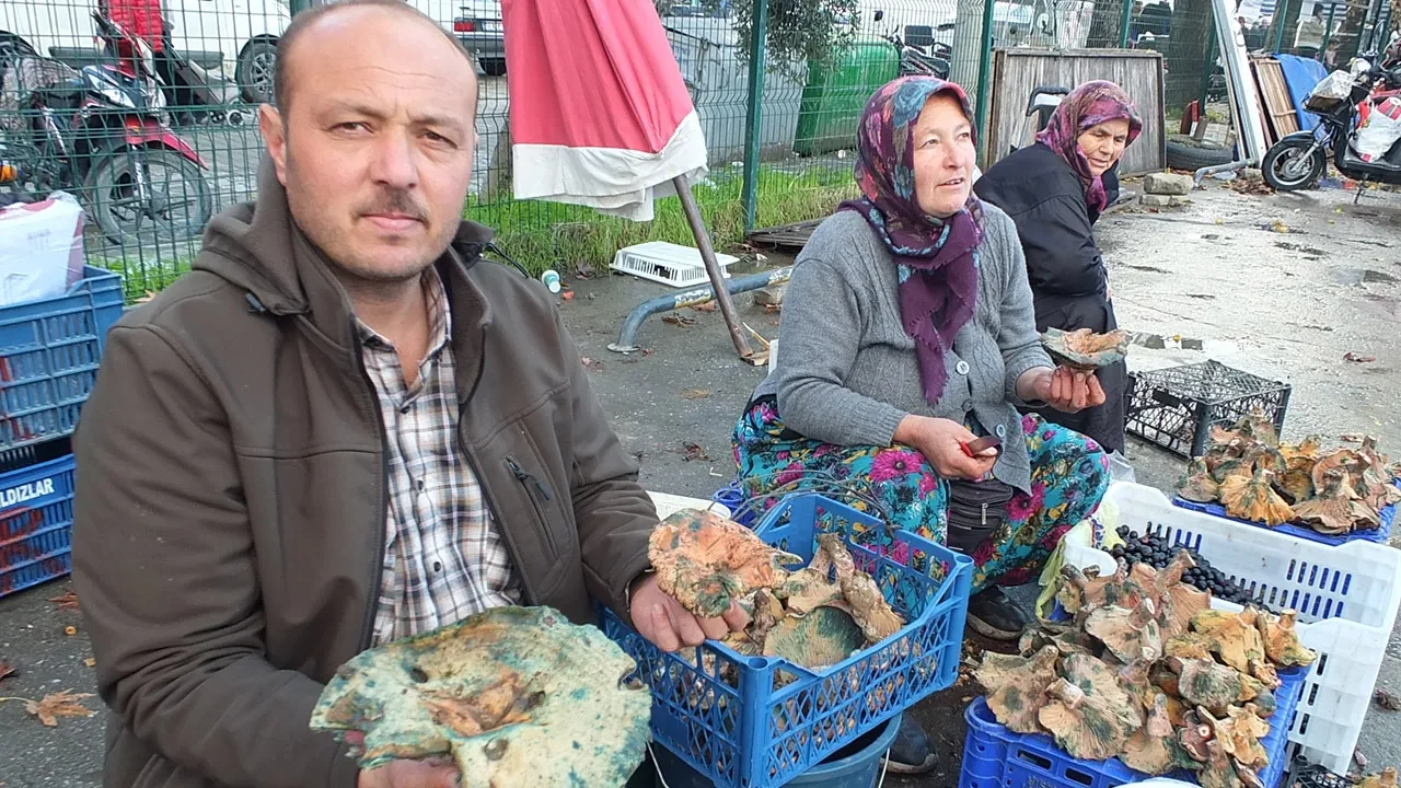 Hem lezzetli hem şifa deposu! Yağmur yağınca adeta fışkırdı, kilosu 400 TL’den 100 TL’ye düştü