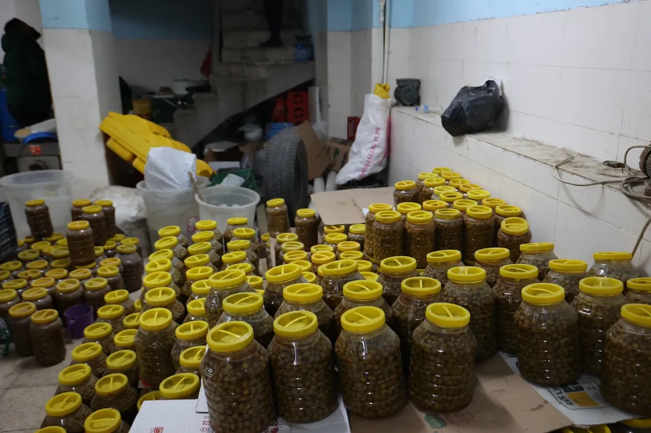 Mide bulandıran görüntü! Gıda denetimlerinde ifşa edildi: Fareler pes dedirtti