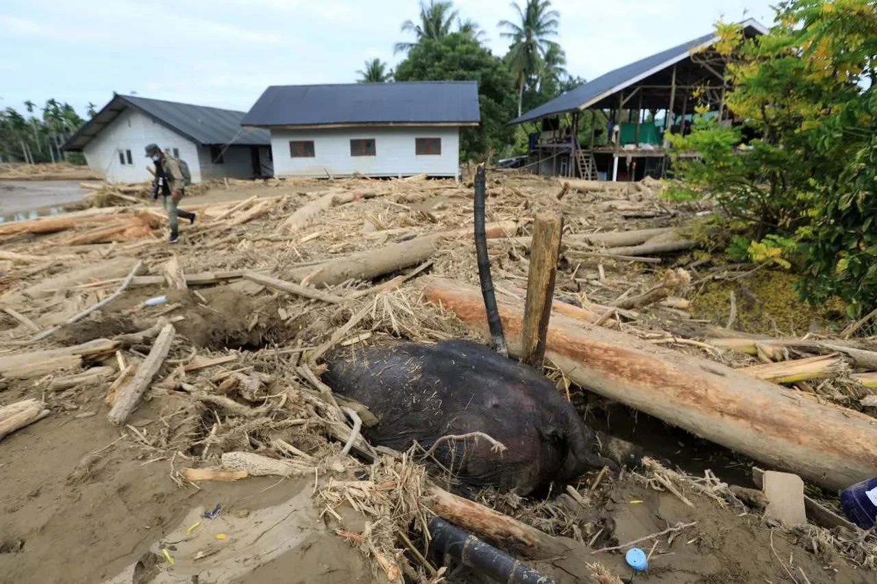 Sel ve heyelan 3 ülkeyi yerle bir etti: Hayatını kaybedenlerin sayısı bini aştı