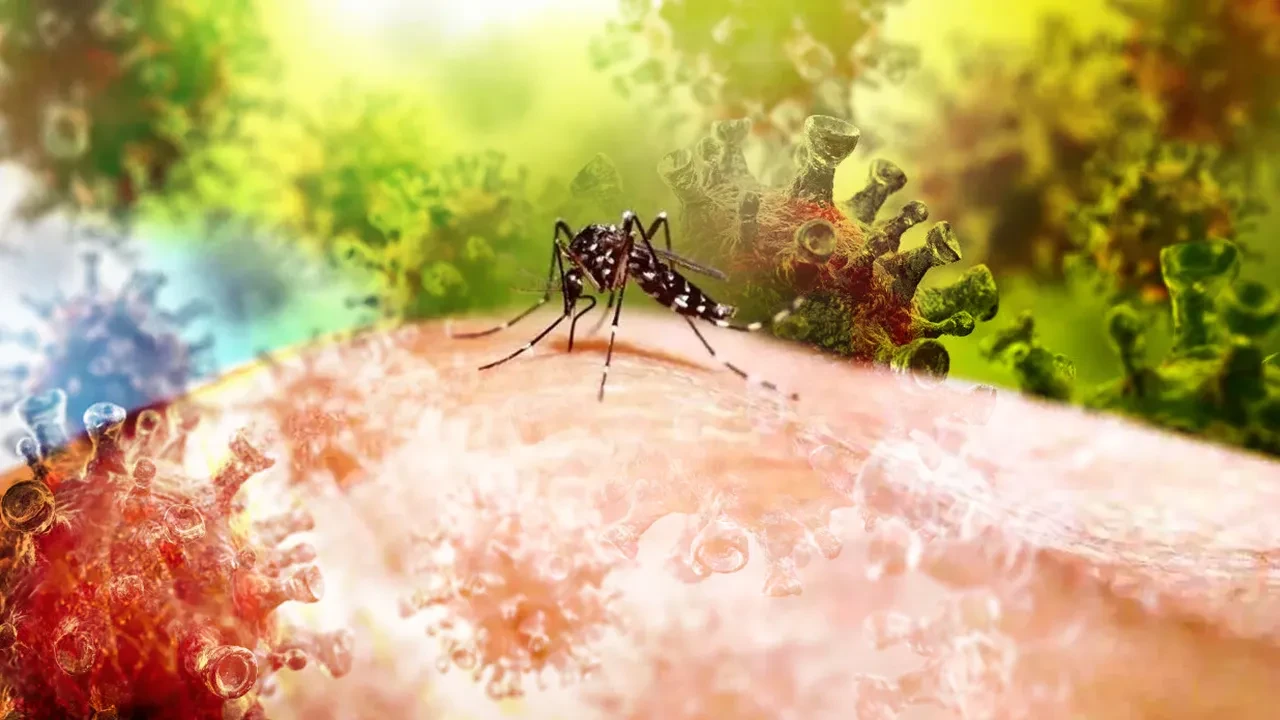 Sivrisinekler ölüm saçıyor: Ölümcül virüs ülkede onlarca kişiyi hayattan kopardı
