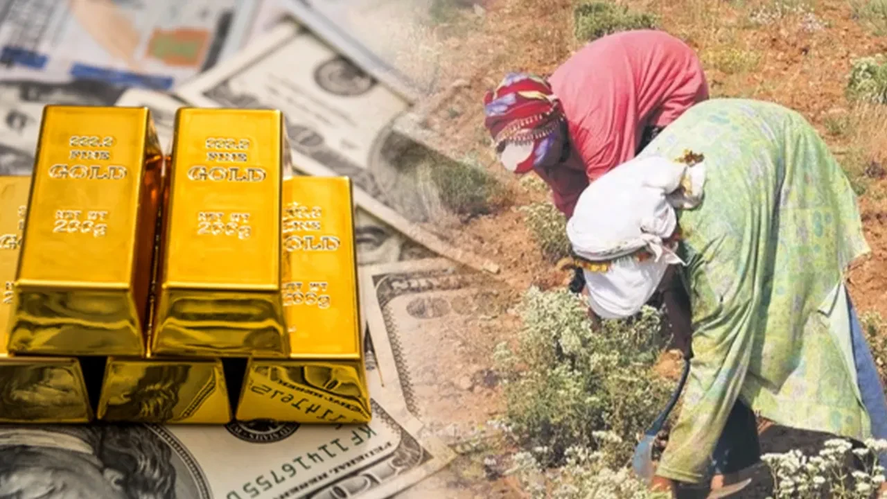 Altın ve doların sessiz rakibi! Kilosu 10 bin dolar, özel yetiştiriliyor