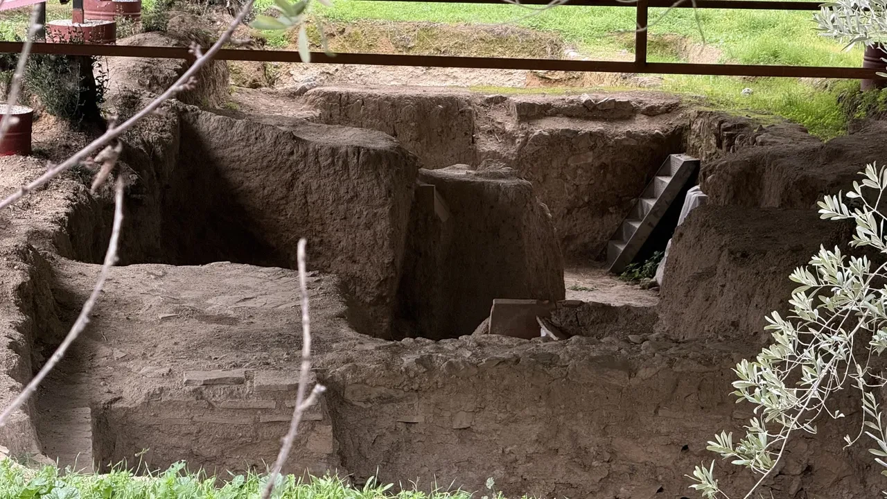  Anadolu’da bilinen tek örnek olabilir! Tarla gece gündüz korunuyor