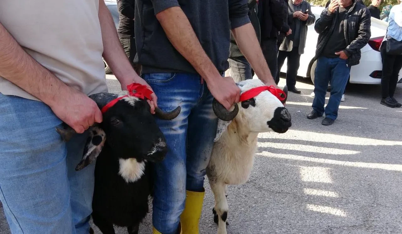 CHP'den istifa eden Hasan Ufuk Çakır'dan Özgür Özel'e: Mezarlıkta rakı içenlere lanet olsun