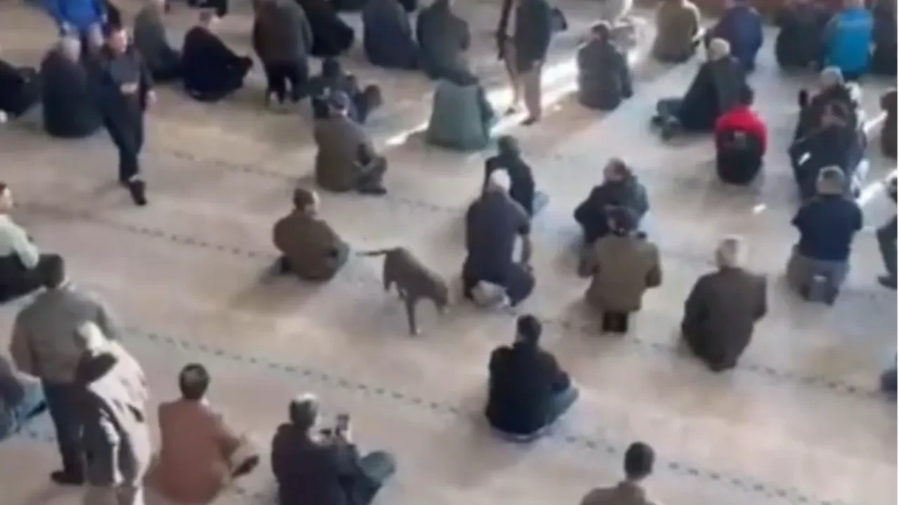 Cuma namazında pitbull dehşeti! Cemaat nereye kaçacağını şaşırdı, köpeği salan kişi tespit edildi