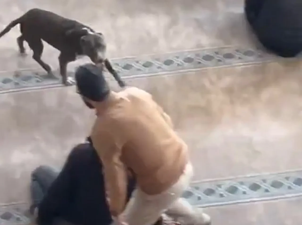 Cuma namazında pitbull dehşeti! Cemaat nereye kaçacağını şaşırdı, köpeği salan kişi tespit edildi