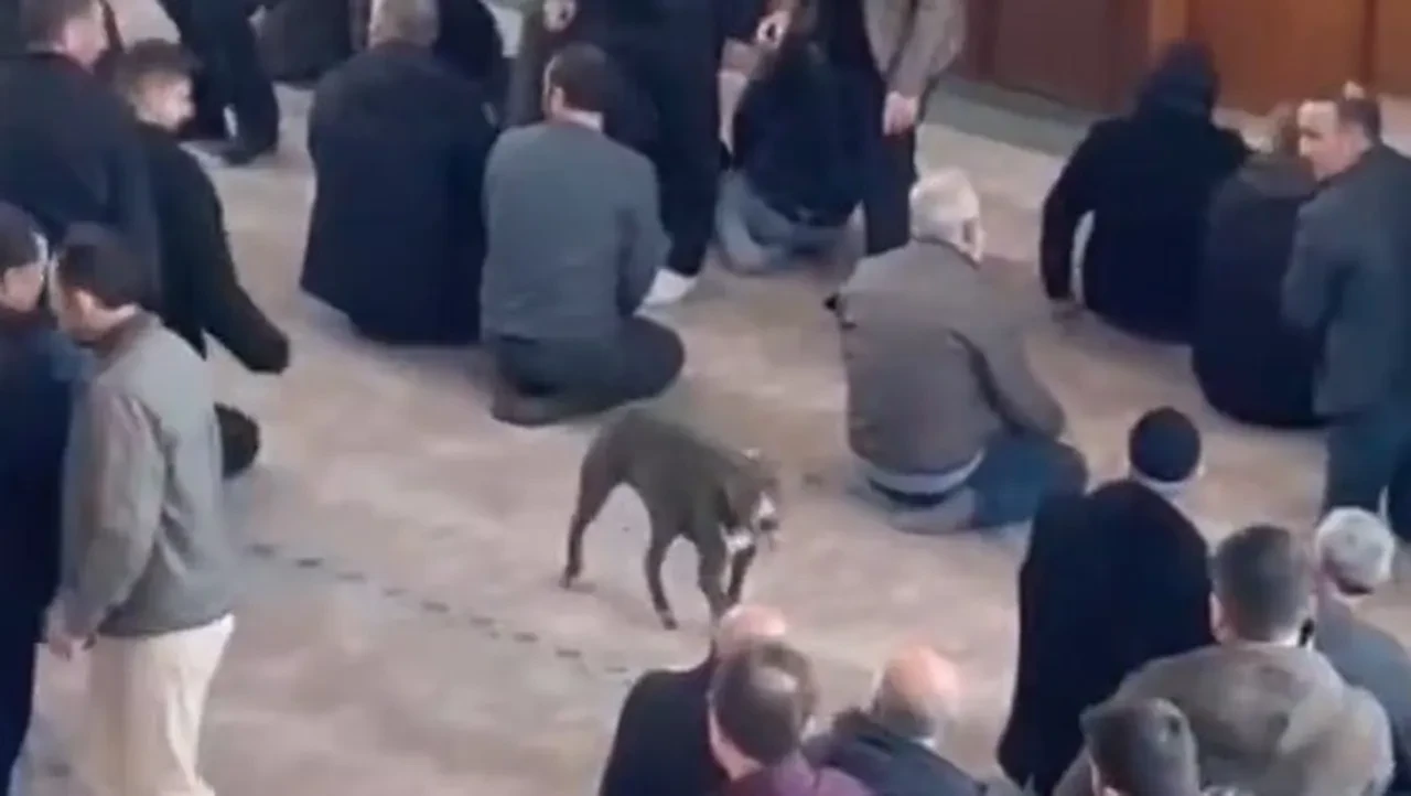 Cuma namazında pitbull dehşeti! Cemaat nereye kaçacağını şaşırdı, köpeği salan kişi tespit edildi
