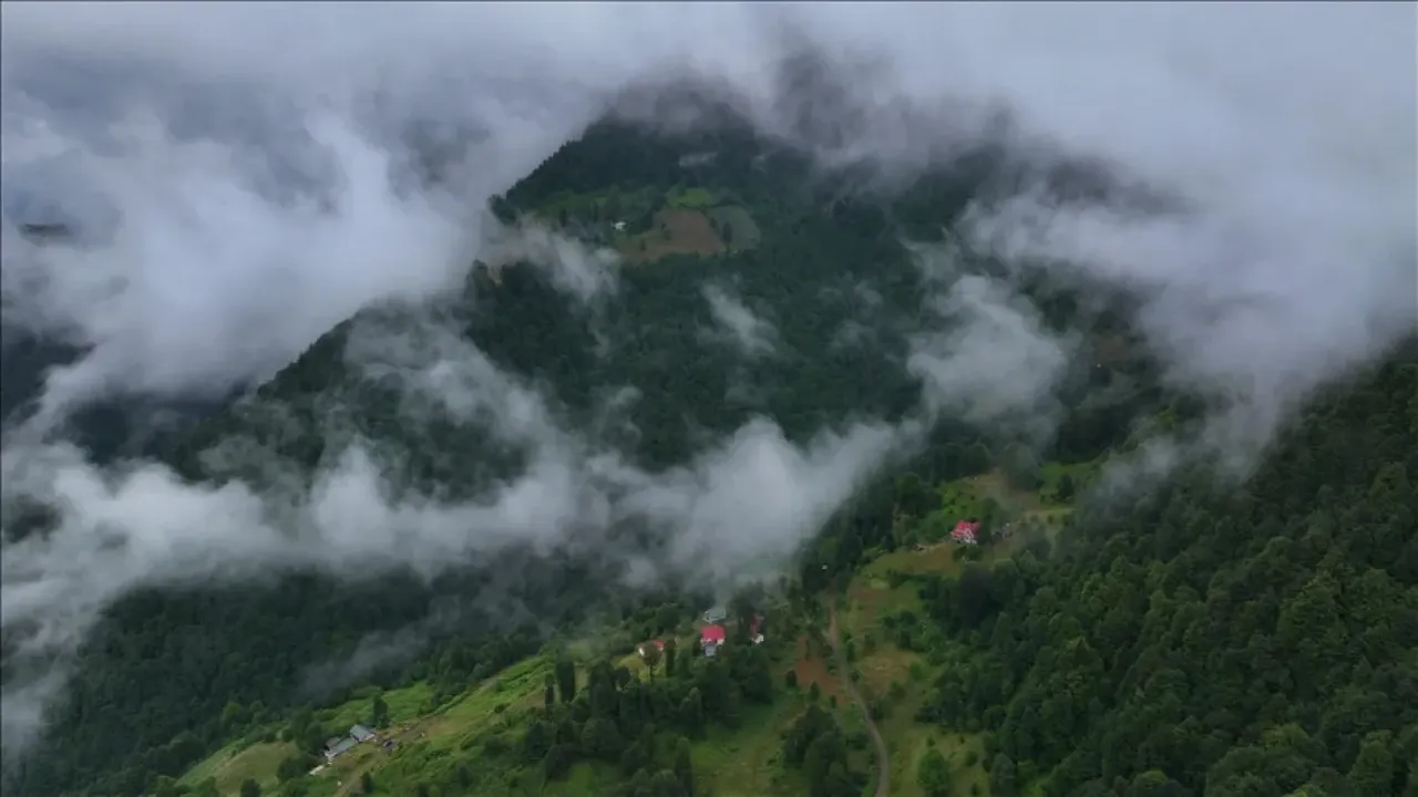 Meteoroloji illeri tek tek açıkladı! Kuvvetli kar yağışı geliyor: Her yer bembeyaz olacak 