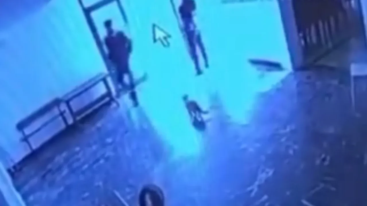 Tek suçu ısınmaya çalışmaktı! Görevli belediye salonuna giren kediyi tekmeledi