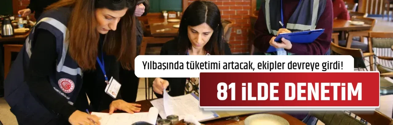 81 İLDE DENETİM