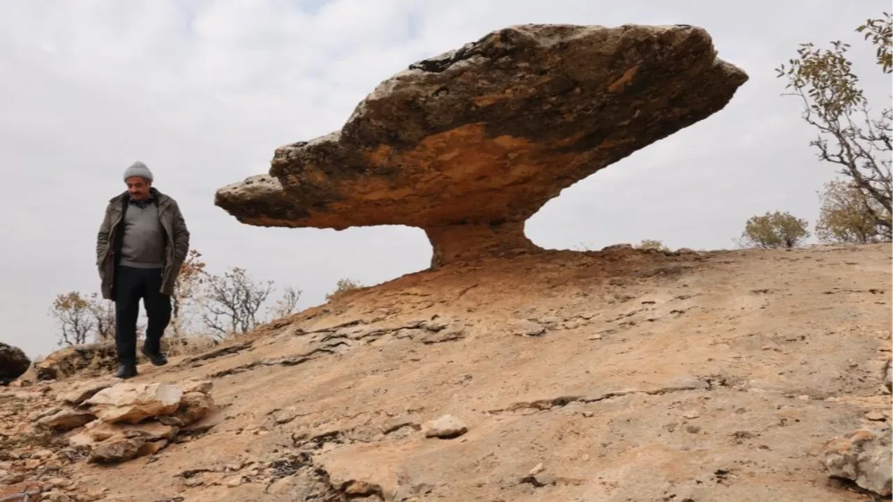 Diyarbakır'da buzul çağından kalma kaya! Hala hareket ediyor, görenler dönüp bir daha bakıyor