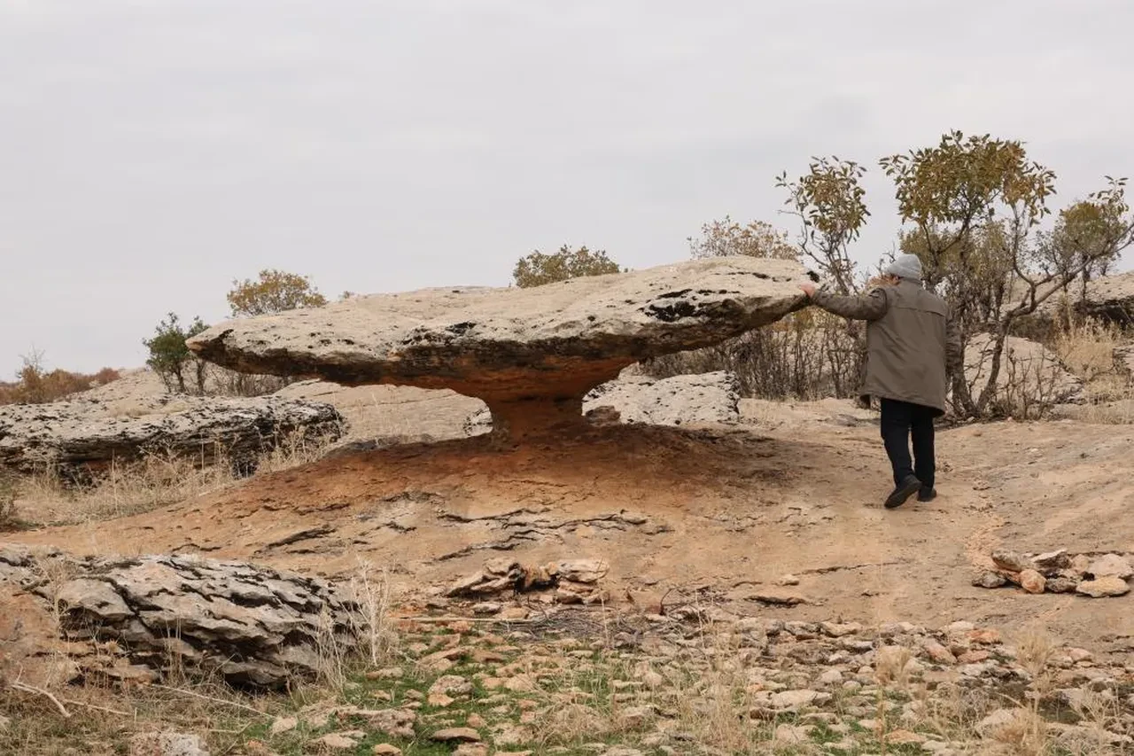 Diyarbakır'da buzul çağından kalma kaya! Hala hareket ediyor, görenler dönüp bir daha bakıyor
