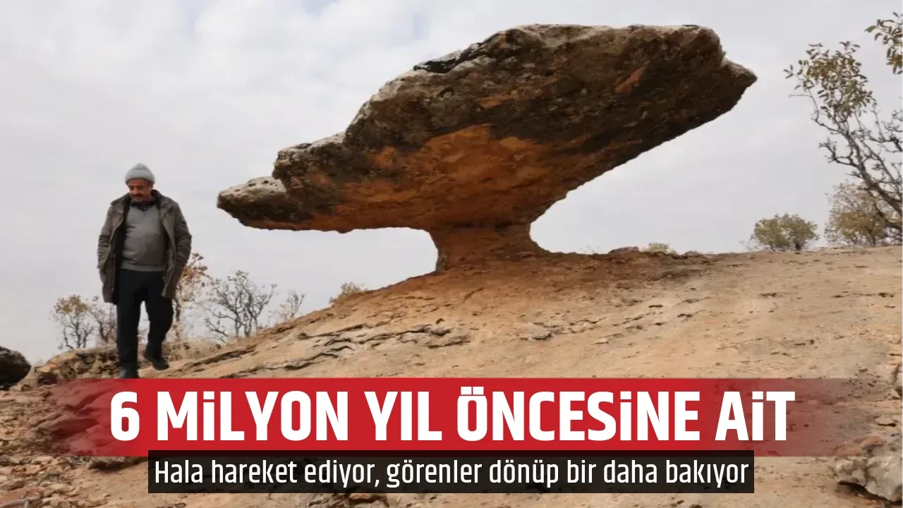 6 MİLYON YIL ÖNCESİNE AİT
