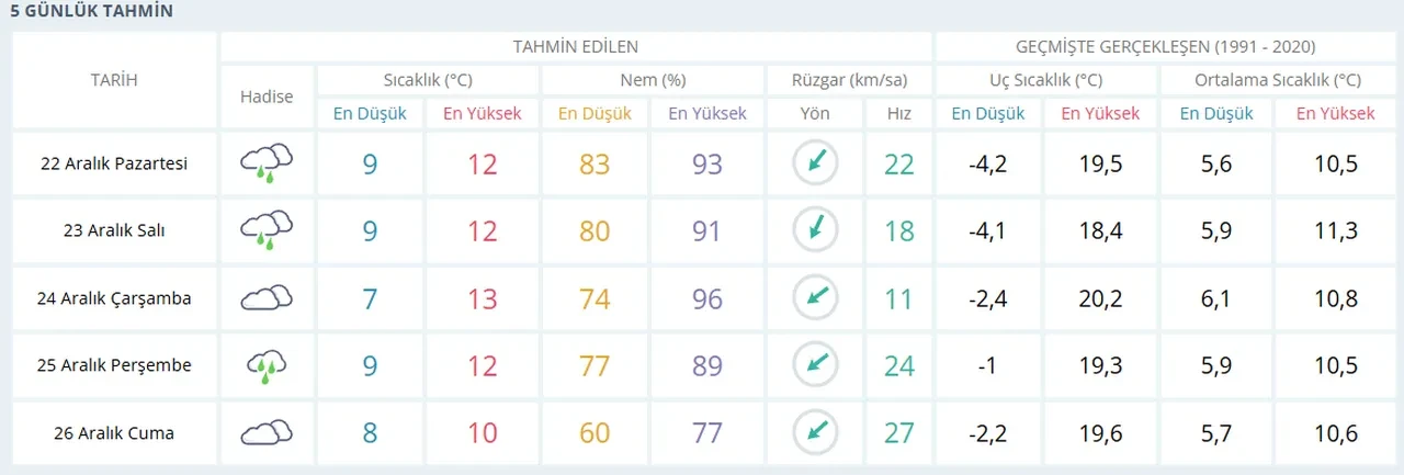 İstanbul'da kar yağacak mı, ne zaman? 1 Ocak yılbaşında İstanbul'a kar yağıp yağmayacağı belli oldu