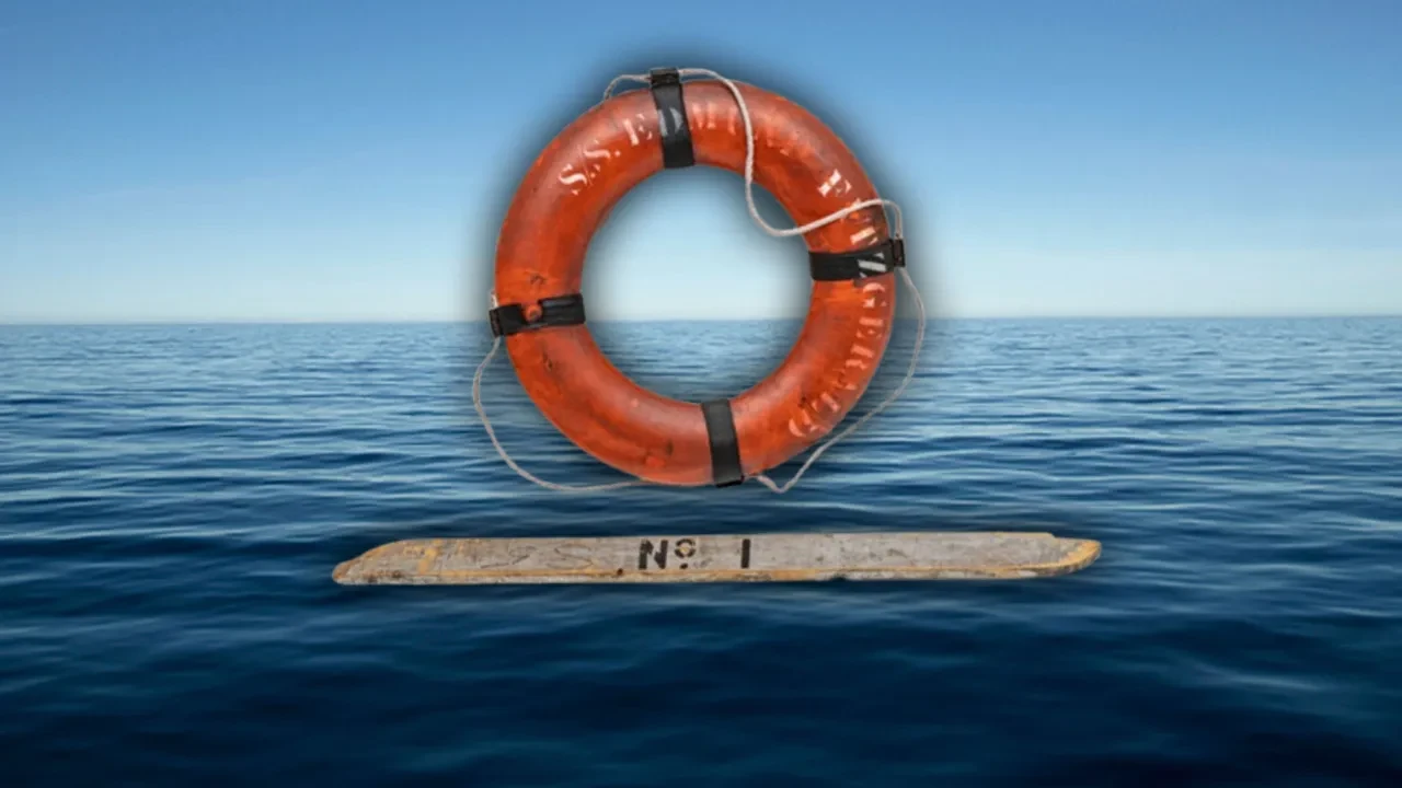 Sadece bir can simidi ve tahta parçasının satış fiyatı ağızları açık bıraktı