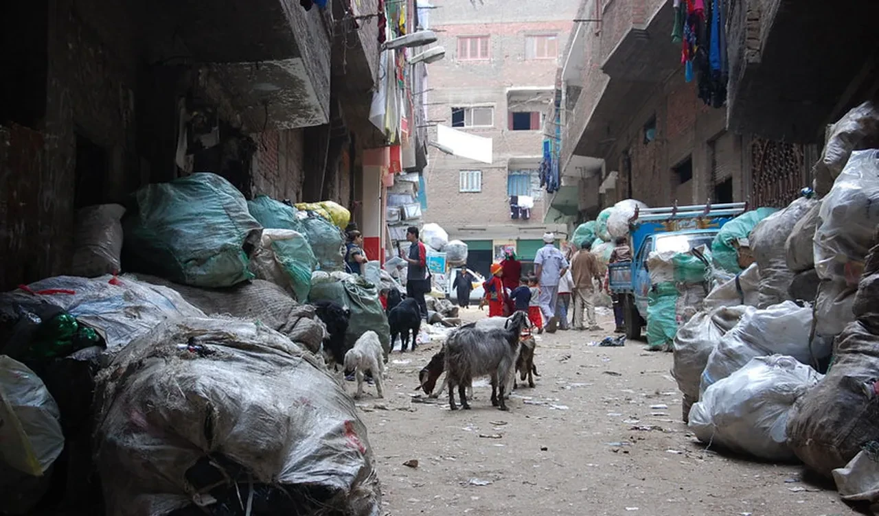 Mısır'daki Manşiyat Naser şehri