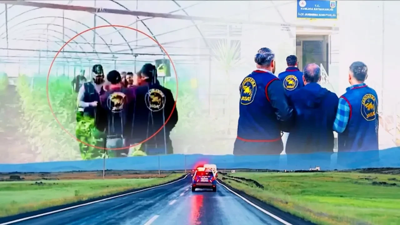 Bakan Yerlikaya duyurdu: 7 yıllık vahşette yeni gelişme! JASAT ekipleri devreye girmişti 