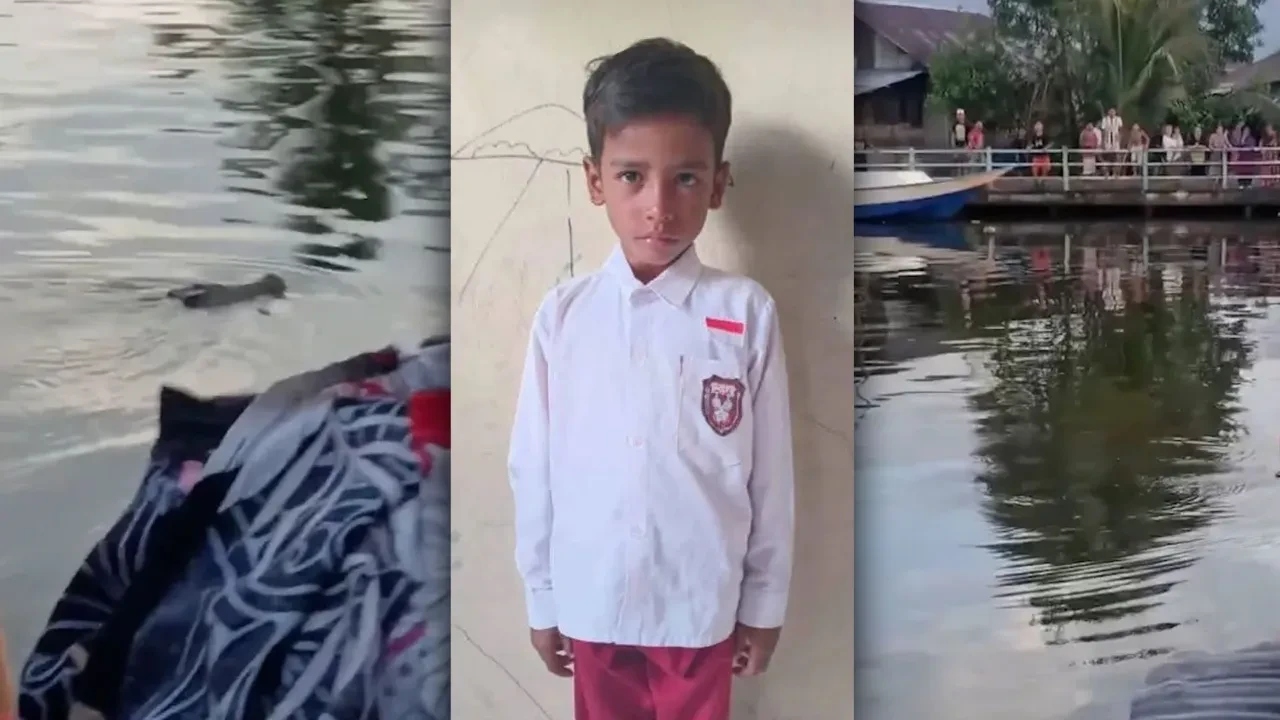 Bir anda kaptı ve suyun altına sürükledi: Korkunç timsah saldırısı kan dondurdu