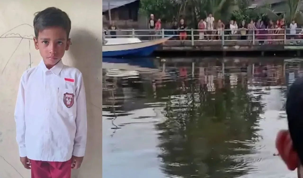 Bir anda kaptı ve suyun altına sürükledi: Korkunç timsah saldırısı kan dondurdu