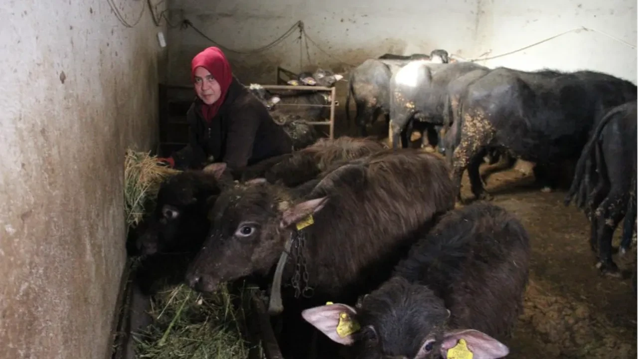 Köye yerleşip başladı, siparişlere yetişemiyor! Kadın girişimci 8 yıllık sırrını açıkladı