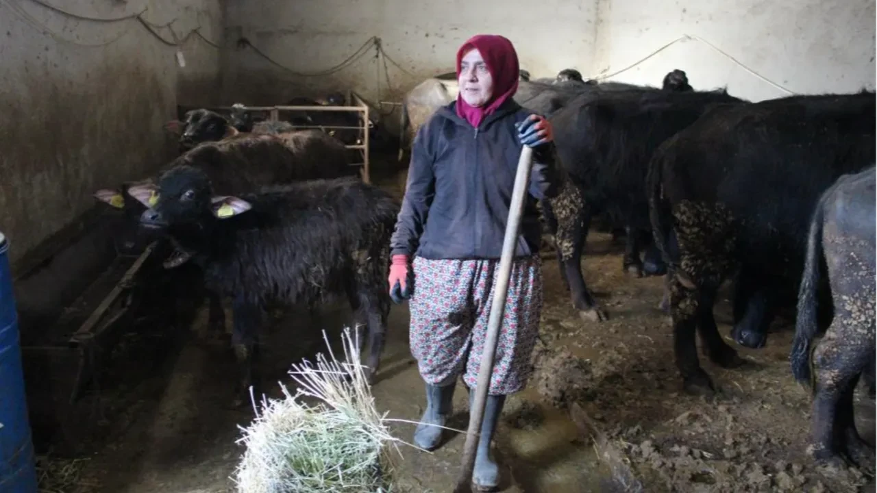 Köye yerleşip başladı, siparişlere yetişemiyor! Kadın girişimci 8 yıllık sırrını açıkladı