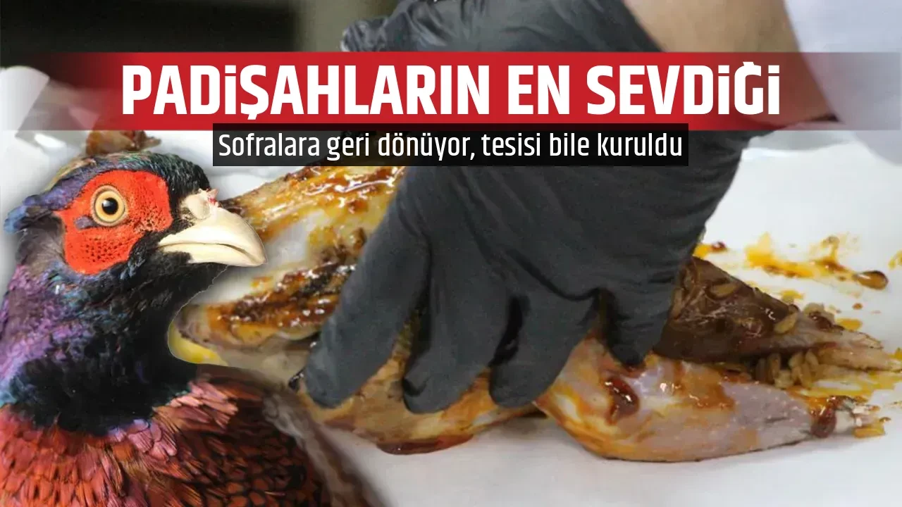 PADİŞAHLARIN EN SEVDİĞİ