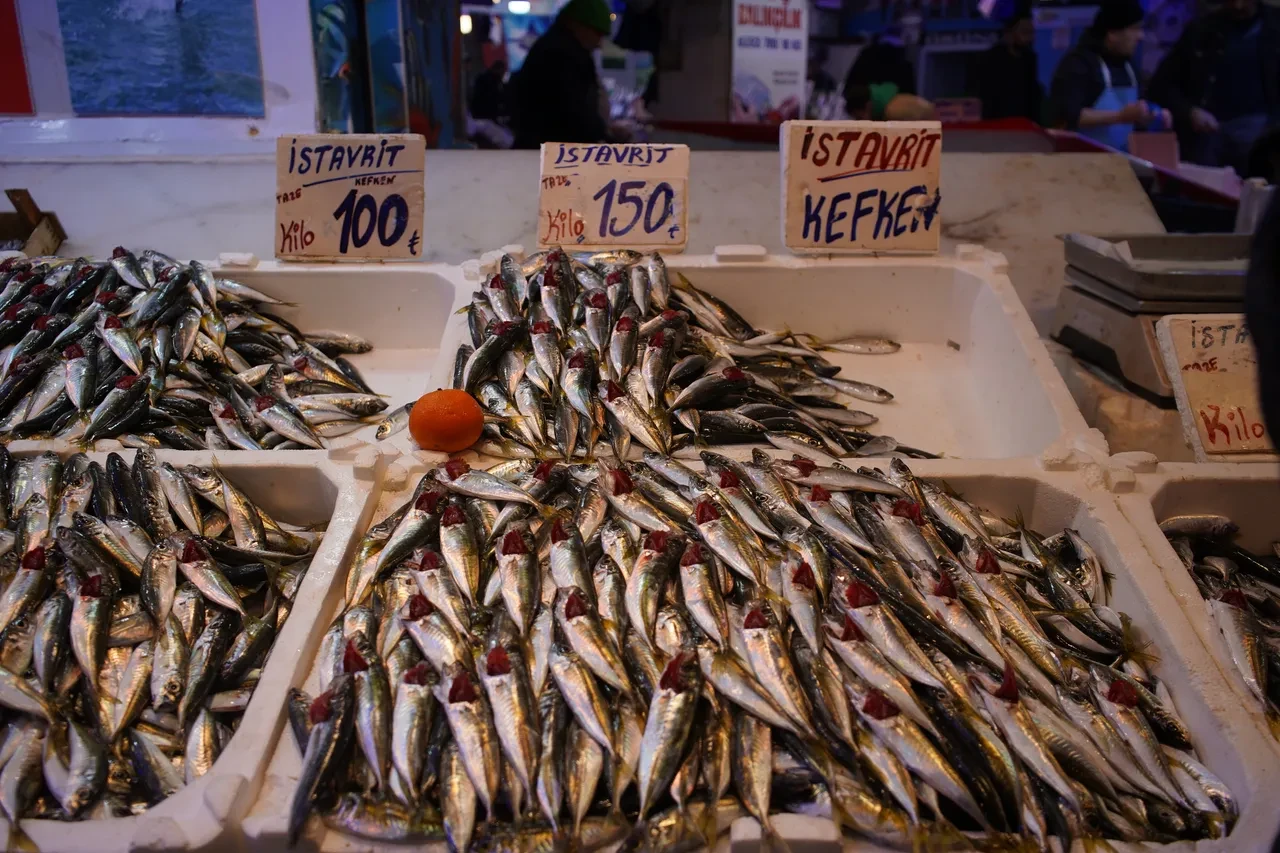 Ucuz hamsiye veda: Beklenen soğuklar gelmedi, balık rotayı değiştirdi