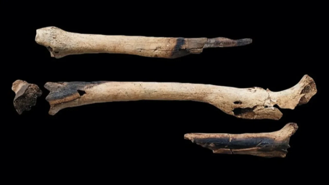 Oldest Mummified People