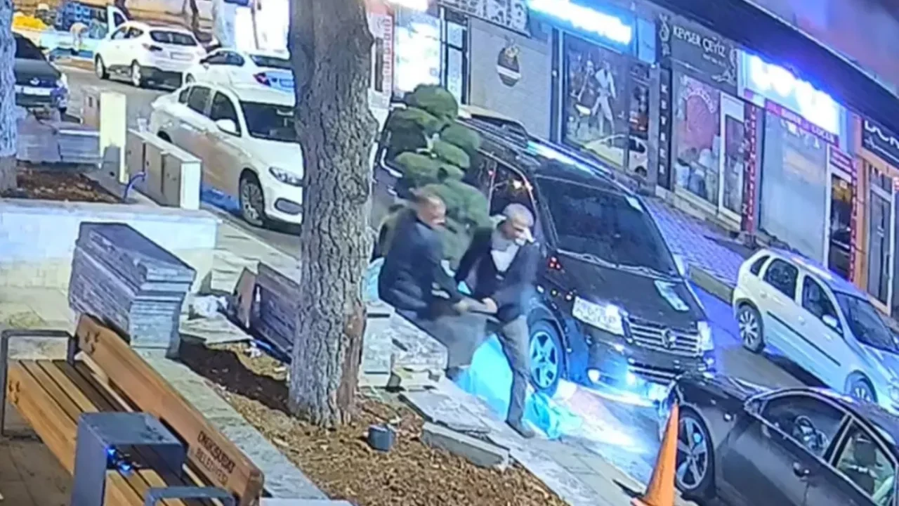 Belediye parkından çaldıkları şey hayrete düşürdü! İstiflerini bozmadan arabaya yerleştirip kaçtılar