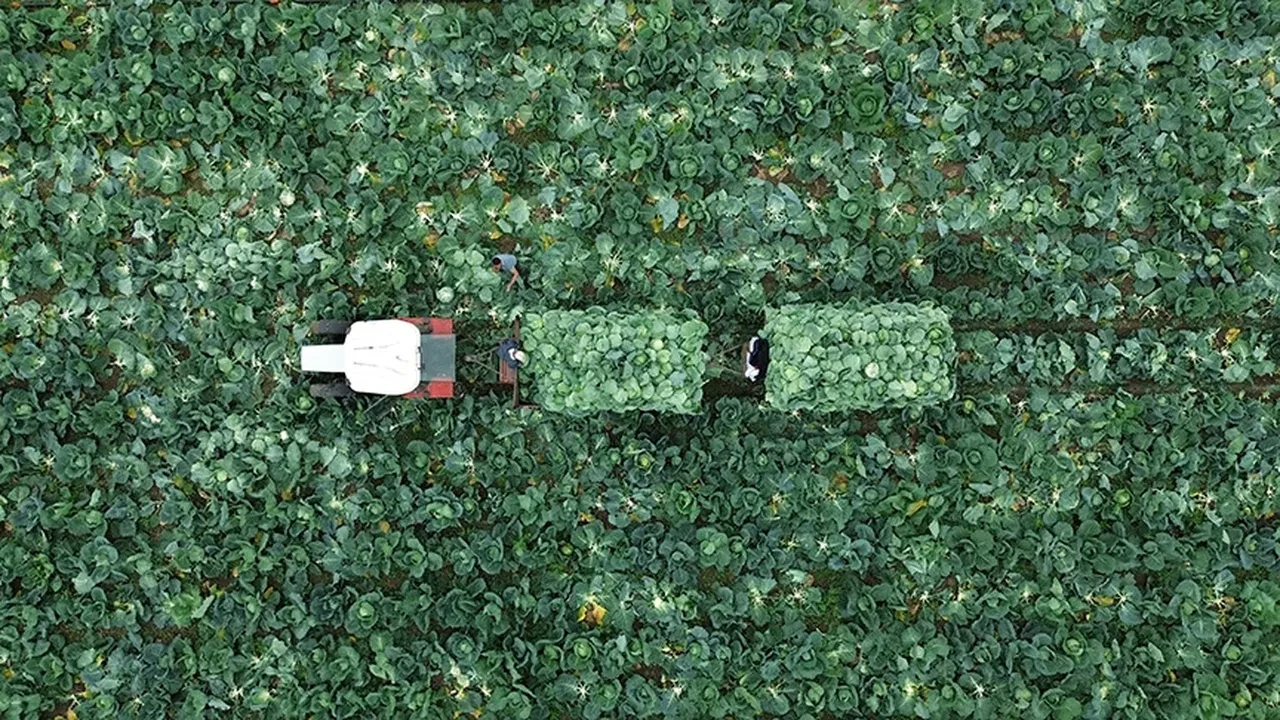 ÇKS başvuruları ne zaman bitiyor? Çiftçi Kayıt Sistemi başvurularında son tarih 2025