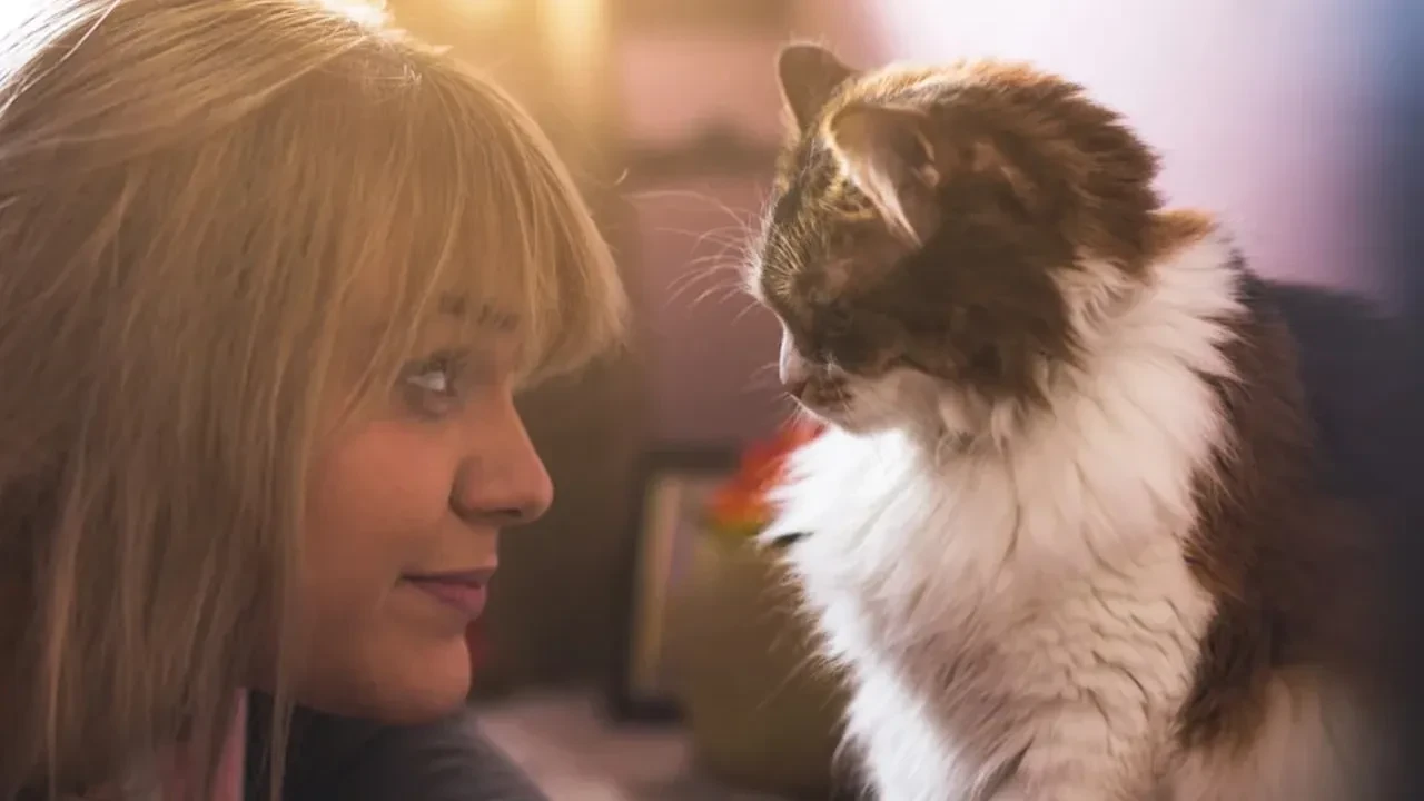 Kedisiyle bir türlü anlaşamayanlar dikkat! Meğer çok basit bir hareket 'aranızdaki buzları' eritiyormuş