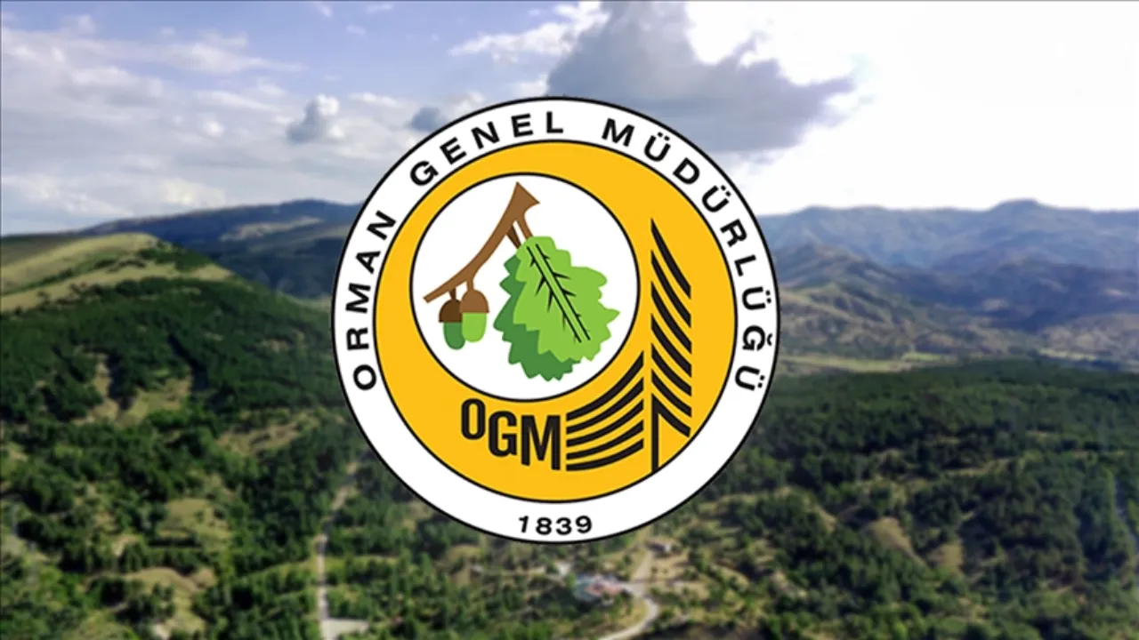 Orman Genel Müdürlüğü 496 sözleşmeli personel alımı sonuçları açıklandı mı? OGM alım sonuç sorgulama ekranı