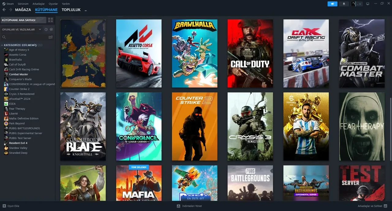 24 Aralık Steam çöktü mü neden açılmıyor?