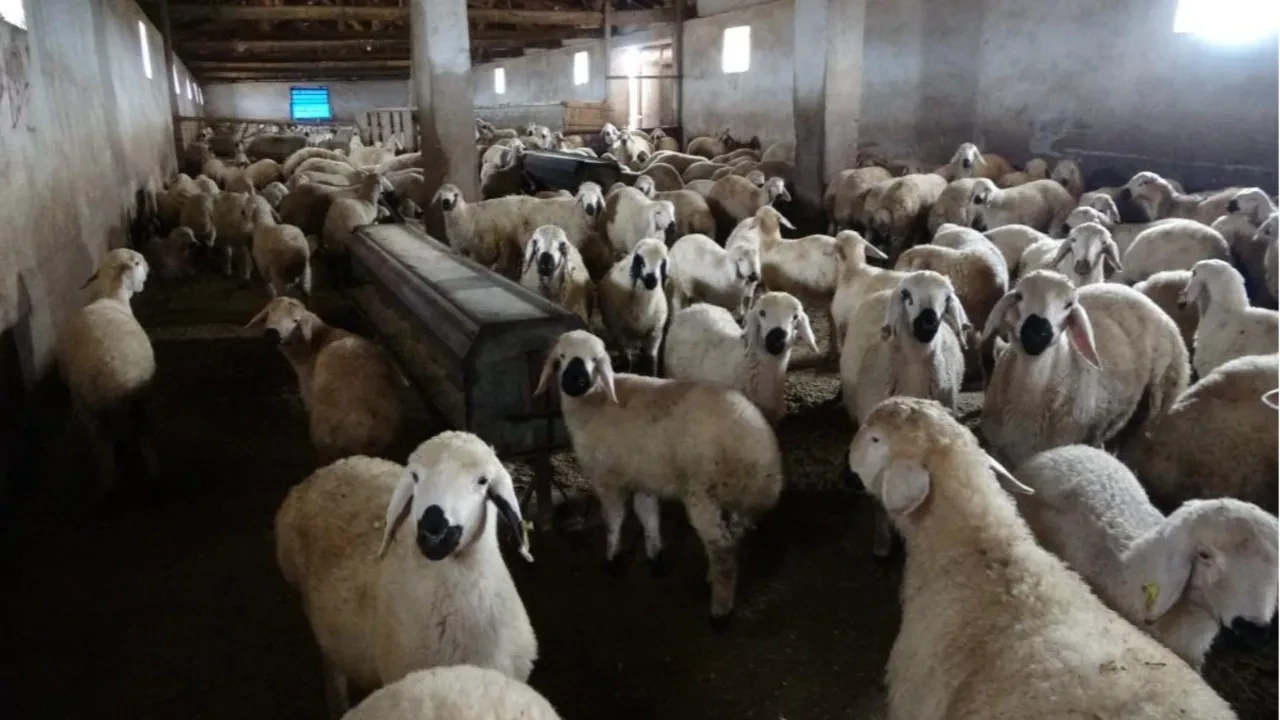 Babasıyla tartıştı, sıfırdan başladı! 'Memur olsam bu kadar para kazanamazdım'
