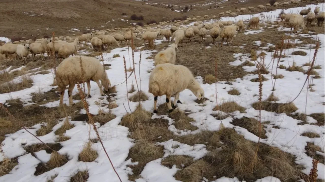 Babasıyla tartıştı, sıfırdan başladı! 'Memur olsam bu kadar para kazanamazdım'
