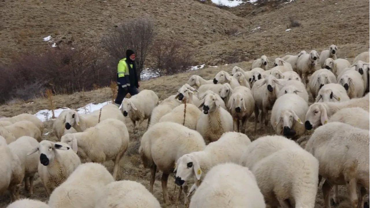 Babasıyla tartıştı, sıfırdan başladı! 'Memur olsam bu kadar para kazanamazdım'