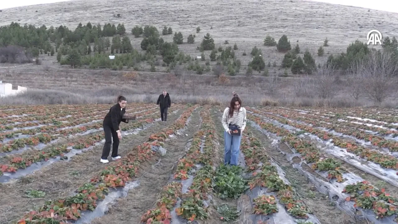 Emekli olunca hobi amaçlı başladı, patron oldu! 'Aşırı talep var yetişemiyoruz!'