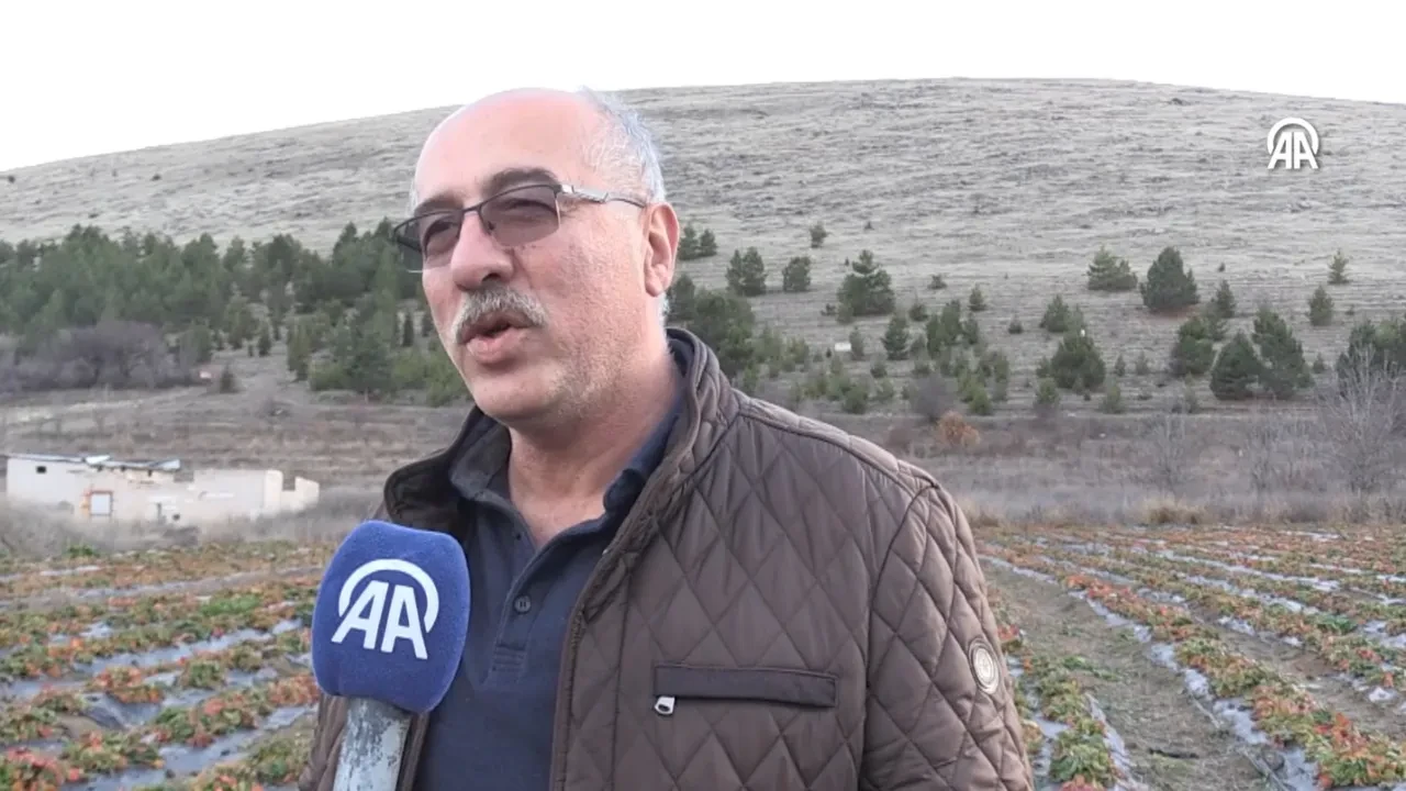 Emekli olunca hobi amaçlı başladı, patron oldu! 'Aşırı talep var yetişemiyoruz!'