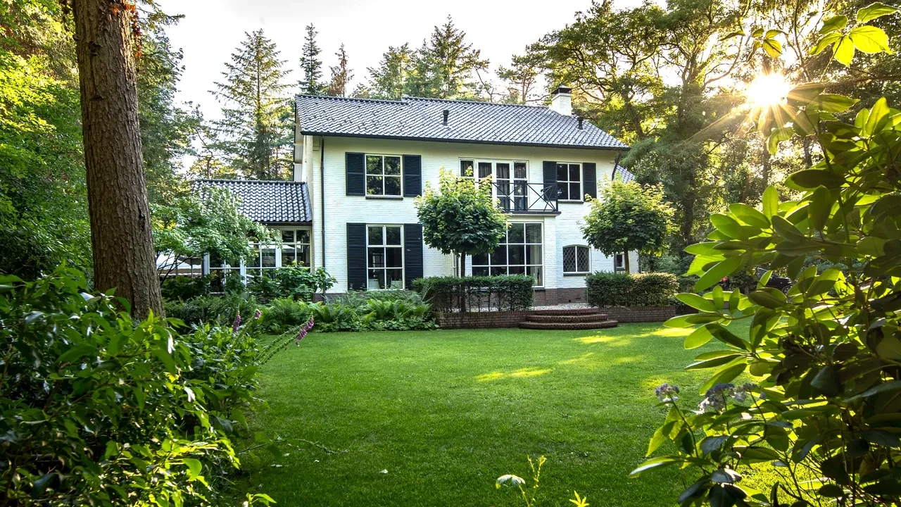 evin huzurunu kaçıran ağaçlar